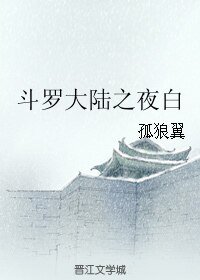 (BL/斗罗大陆同人)斗罗大陆之夜白