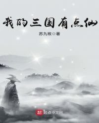 我的三国有点仙