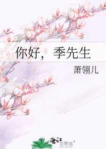 你好,季先生
