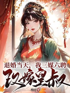 退婚当天,我三媒六聘改嫁皇叔