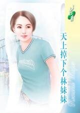 天上掉下个林妹妹（经典大颠覆系列）